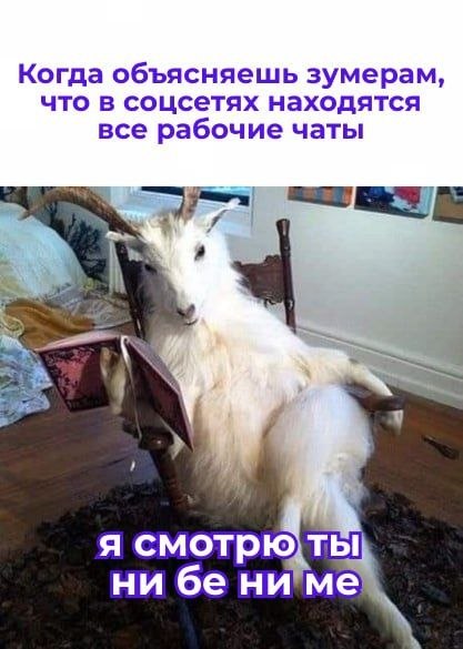 Зумеры всё чаще уходят из соцсетей