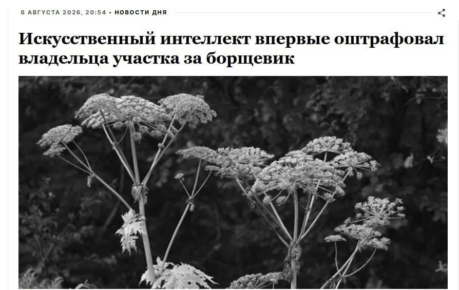 Искусственный интеллект впервые выписал штраф за борщевик на участке
